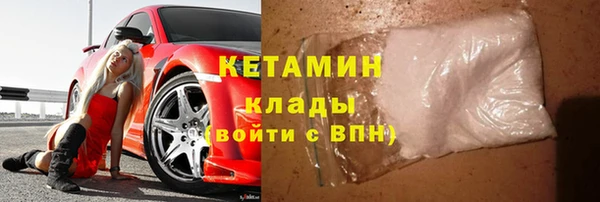 трава Карпинск