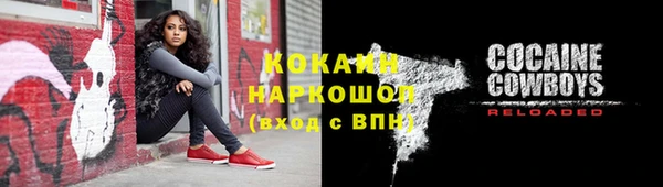 трава Карпинск