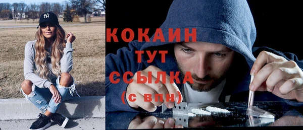 ПСИЛОЦИБИНОВЫЕ ГРИБЫ Карталы