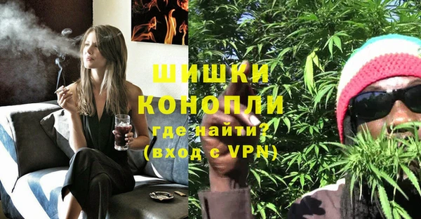 трава Карпинск