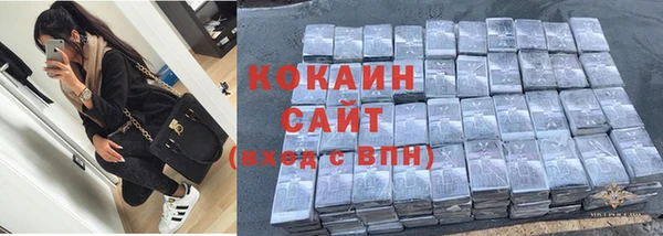 трава Карпинск