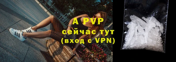 ПСИЛОЦИБИНОВЫЕ ГРИБЫ Карталы