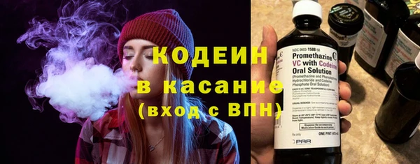 трава Карпинск
